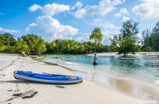 Tanzania: safari e Isola di Mafia